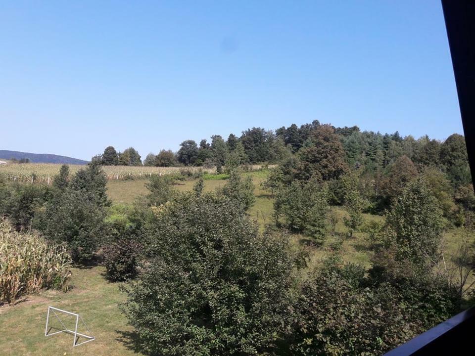 Kuca Za Odmor Anamarija Villa Ogulin Kültér fotó